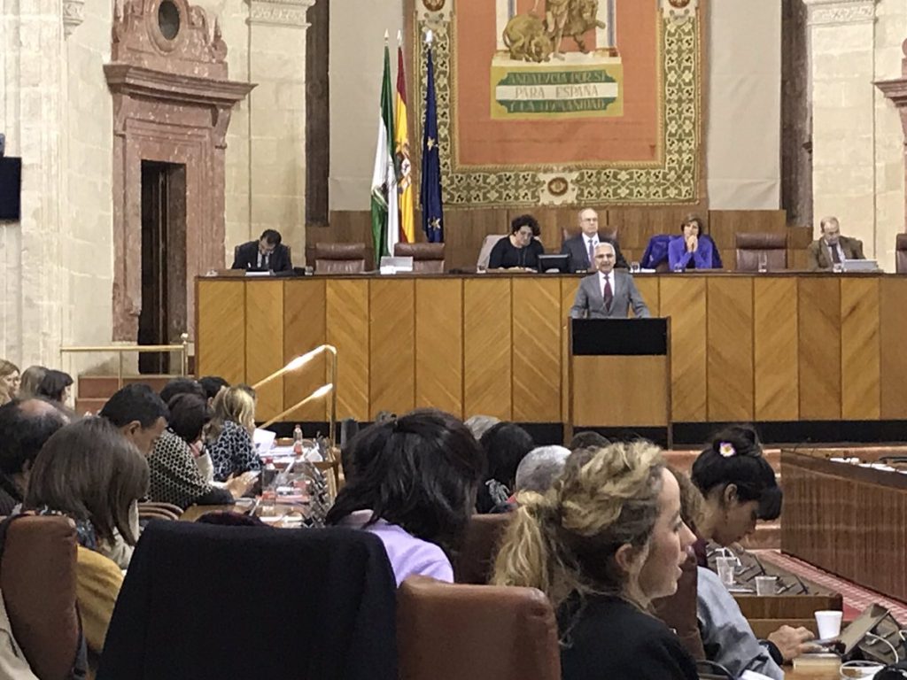 Un momento del debate de presentación en el Parlamento andaluz de la Ley del Cine de Andalucía