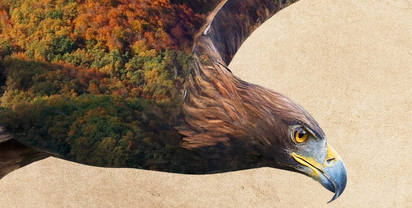 A vista de águila real: 'Iberia. Naturaleza infinita' llega a salas el 17  de marzo | filmAnd